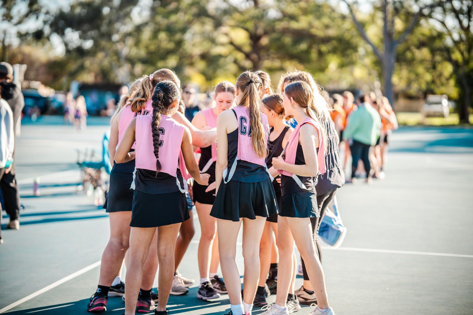 Fifteen new netball courts and pavilion Image