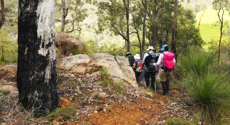 A family walking through the Australian Bush with backpacks