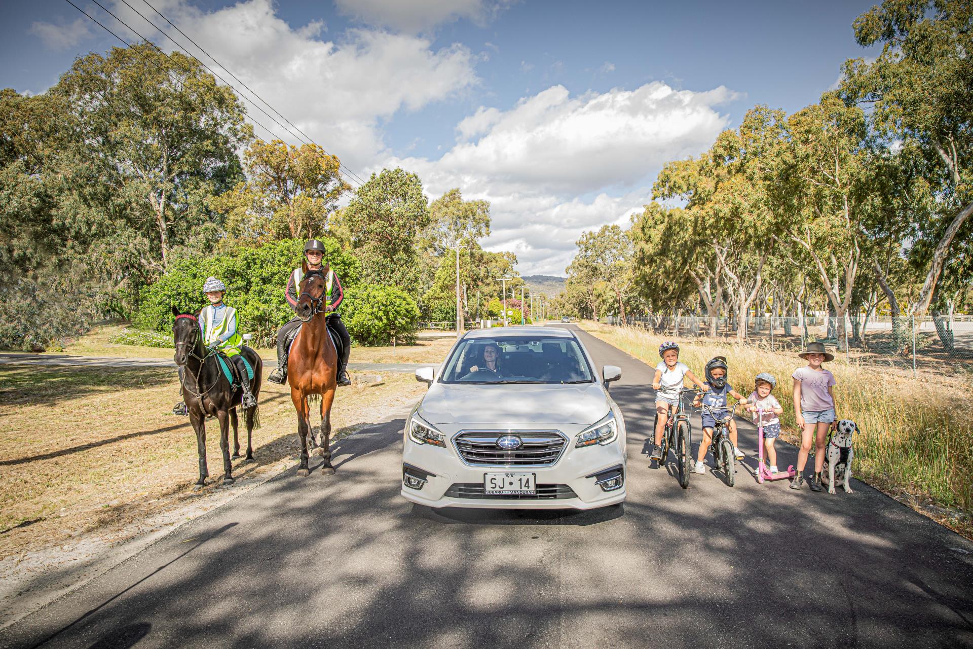 Join Our 2025 Road Safety Campaign: Calling all SJ horse riders!