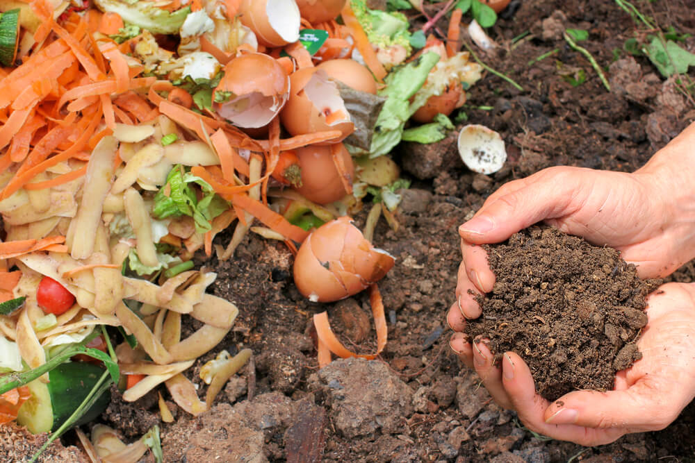 SJ Composting Workshop - SOLD OUT