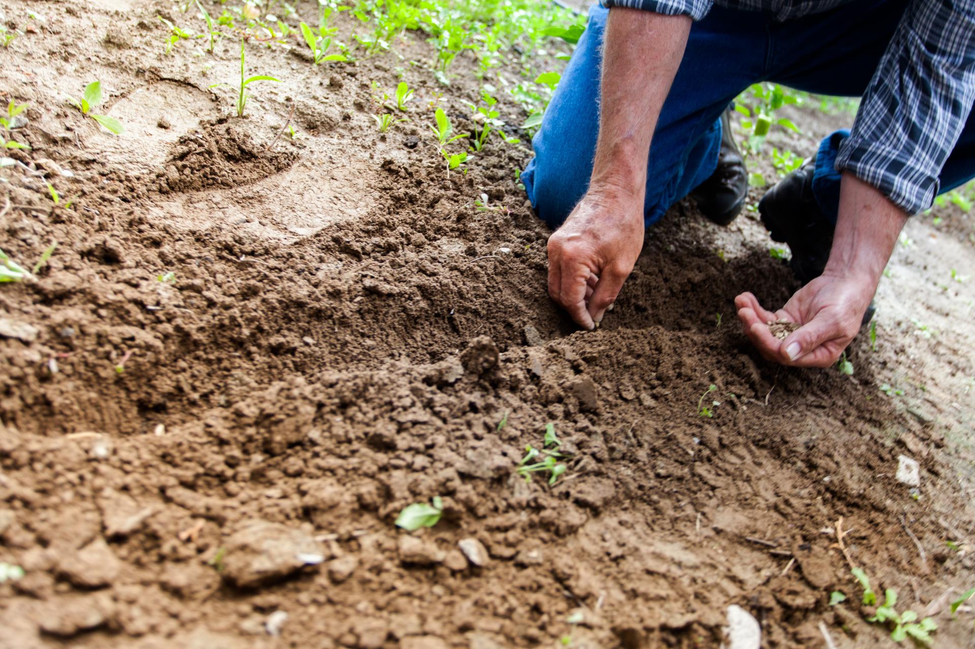 Future Ready Farming Soil Health Workshop - North Pinjarra