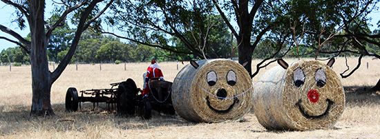 Bin Day Changes and Shire Facility Opening Hours This Festive Season