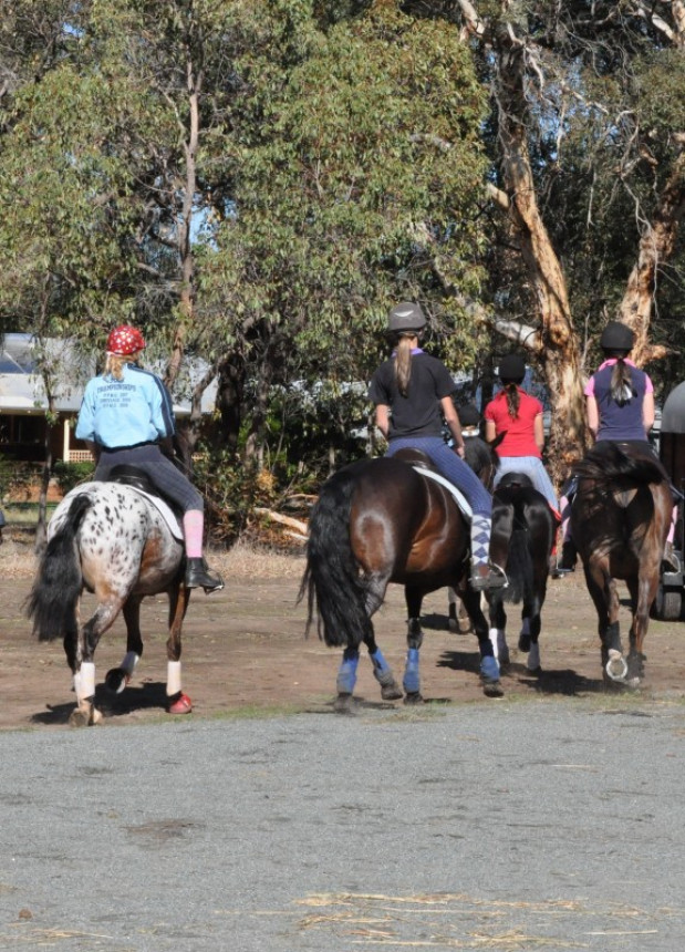 Restoration efforts breathe new life into Darling Downs Equestrian Park