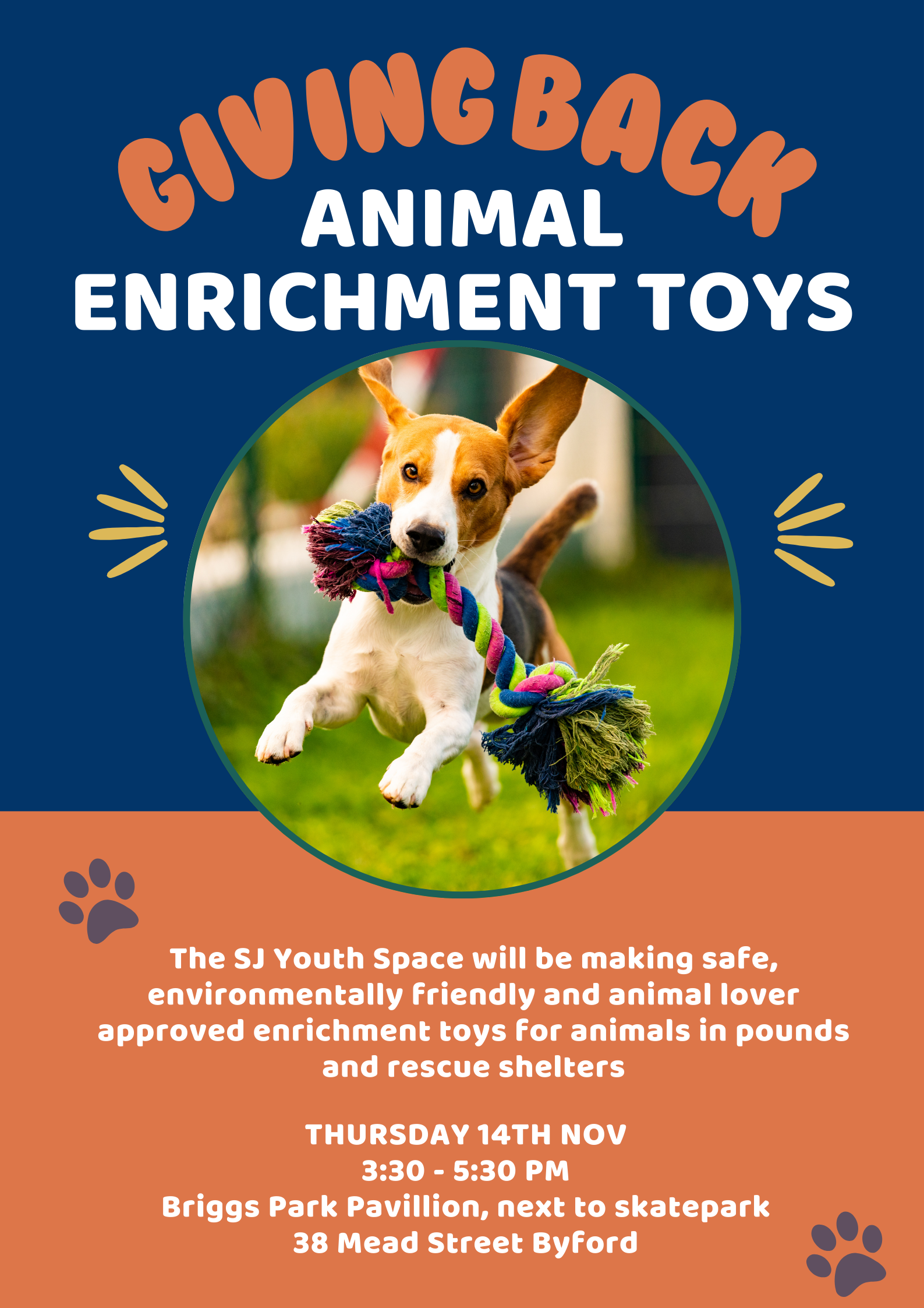 GIVING BACK: Donatable DIY Animal Enrichment Toys